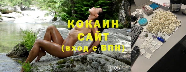 тгк Бронницы