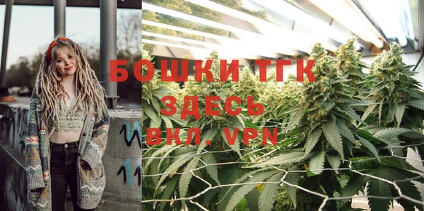 тгк Бронницы