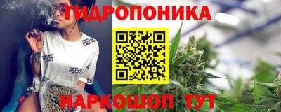 ПСИЛОЦИБИНОВЫЕ ГРИБЫ Гусиноозёрск